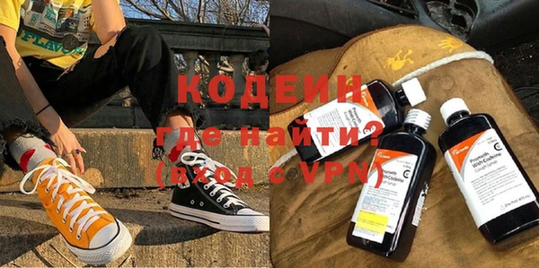 индика Нязепетровск