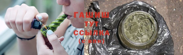 индика Нязепетровск