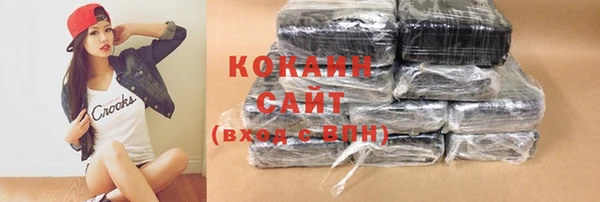 индика Нязепетровск