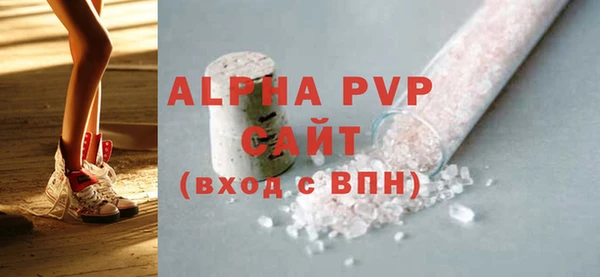 индика Нязепетровск