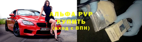 индика Нязепетровск