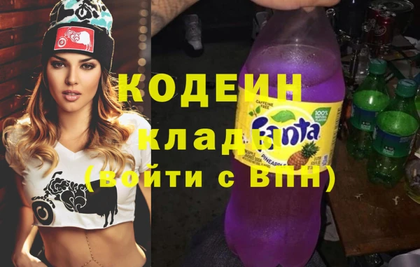 индика Нязепетровск