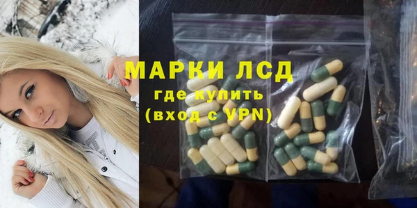 индика Нязепетровск