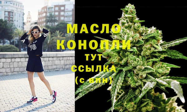 индика Нязепетровск