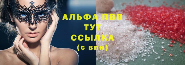 индика Нязепетровск