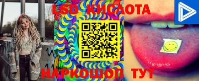 эйфоретик Берёзовский