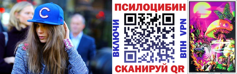 Галлюциногенные грибы Psilocybine cubensis  Родники 