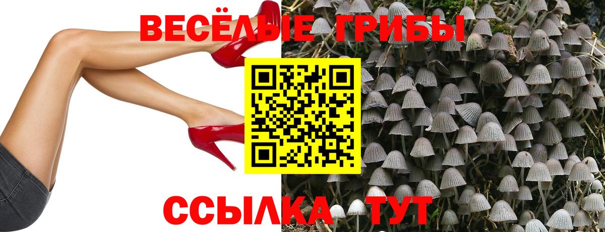 как найти закладки  Псилоцибиновые грибы Psilocybe  Вход с VPN  Родники  Псилоцибиновые грибы Psilocybe 